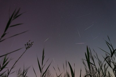 Метеорные потоки этого месяца 13 Август 2017 16:06 Метеорные потоки этого месяца 13 Август 2017 16:06