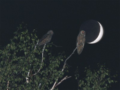 Природная красота неба. Фото 24 Сентябрь 2017 20:26 Природная красота неба. Фото 24 Сентябрь 2017 20:26