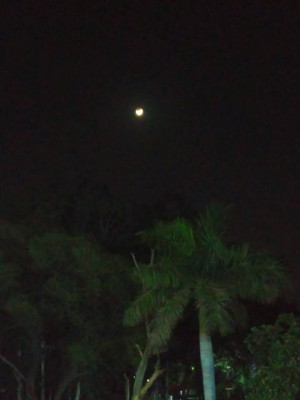 Хочу предложить небольшой звездный квест 21 Февраль 2018 13:40 третье Хочу предложить небольшой звездный квест 21 Февраль 2018 13:40 третье