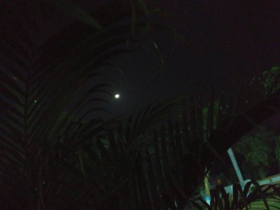 Хочу предложить небольшой звездный квест 21 Февраль 2018 13:40 второе Хочу предложить небольшой звездный квест 21 Февраль 2018 13:40 второе