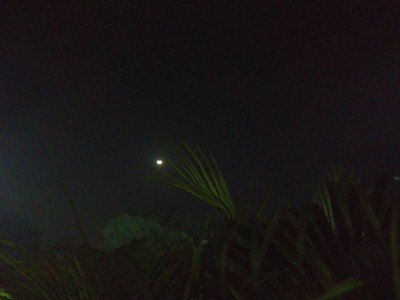 Хочу предложить небольшой звездный квест 21 Февраль 2018 13:40 первое Хочу предложить небольшой звездный квест 21 Февраль 2018 13:40 первое