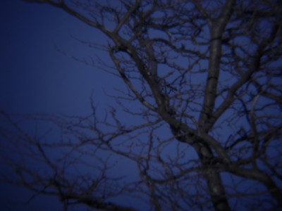 Хочу предложить небольшой звездный квест 21 Февраль 2018 13:38 третье Хочу предложить небольшой звездный квест 21 Февраль 2018 13:38 третье