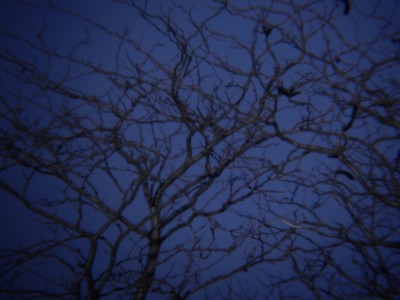 Хочу предложить небольшой звездный квест 21 Февраль 2018 13:38 второе Хочу предложить небольшой звездный квест 21 Февраль 2018 13:38 второе