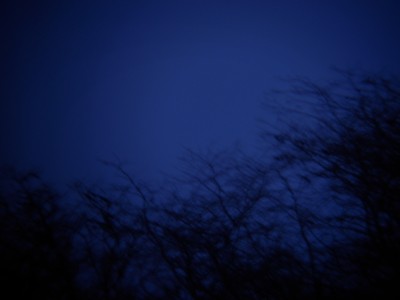 Хочу предложить небольшой звездный квест 21 Февраль 2018 13:38 первое Хочу предложить небольшой звездный квест 21 Февраль 2018 13:38 первое