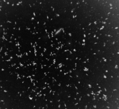 Наши фото крупномасштабной структуры вселенной. 01 Апрель 2018 06:03 Наши фото крупномасштабной структуры вселенной. 01 Апрель 2018 06:03