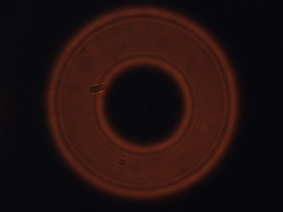 Вопросы по астрофотографии 09 Апрель 2018 19:18 третье Вопросы по астрофотографии 09 Апрель 2018 19:18 третье