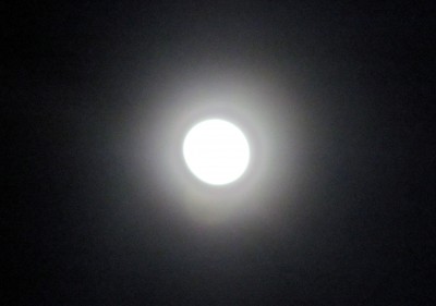 Это Луна!?... 17 Март 2014 17:21