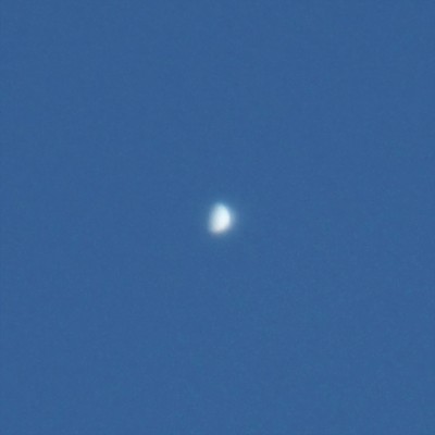 Наблюдения Венеры 09 Июль 2018 10:48