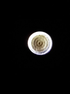 Теневая картина зеркала телескопа 02 Август 2018 22:10 первое