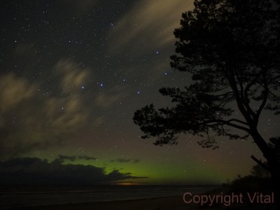 Итоги фотоконкурса AstroShot-2018 13 Декабрь 2018 09:05 третье Итоги фотоконкурса AstroShot-2018 13 Декабрь 2018 09:05 третье