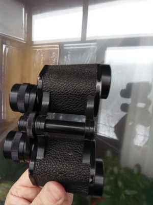 Carl Zeiss Jena 8x30 Deltrintem 23 Февраль 2019 11:17 первое Carl Zeiss Jena 8x30 Deltrintem 23 Февраль 2019 11:17 первое