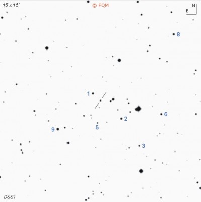 Созвездие Геркулес 11 Февраль 2021 13:50 второе