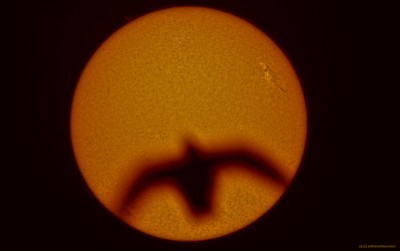 Наши фотографии Солнца. 03 Сентябрь 2021 05:32