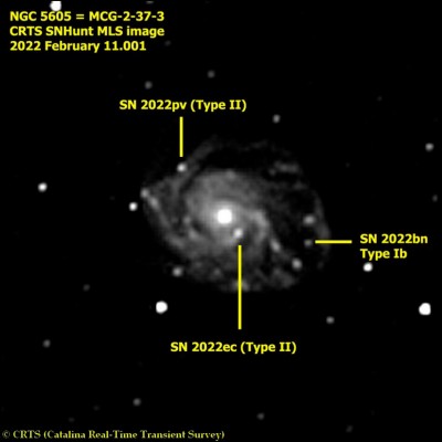 Наблюдение сверхновых звезд. 15 Февраль 2022 17:42