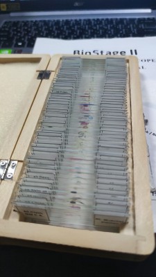 Продам микроскоп Delta Optical BioStage II + Камеру + 50 пр. 05 Июль 2023 11:11 второе Продам микроскоп Delta Optical BioStage II + Камеру + 50 пр. 05 Июль 2023 11:11 второе