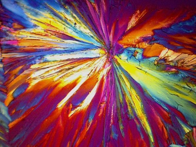 Удивительные фотографии под микроскопом 21 Октябрь 2014 16:40 первое Удивительные фотографии под микроскопом 21 Октябрь 2014 16:40 первое