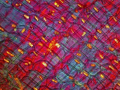 Удивительные фотографии под микроскопом 14 Ноябрь 2014 19:13 второе Удивительные фотографии под микроскопом 14 Ноябрь 2014 19:13 второе