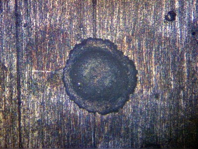 Удивительные фотографии под микроскопом 15 Ноябрь 2014 16:41 первое Удивительные фотографии под микроскопом 15 Ноябрь 2014 16:41 первое