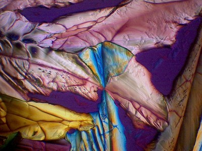 Удивительные фотографии под микроскопом 21 Декабрь 2014 21:15 третье Удивительные фотографии под микроскопом 21 Декабрь 2014 21:15 третье