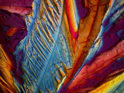 Удивительные фотографии под микроскопом 21 Декабрь 2014 21:15 второе Удивительные фотографии под микроскопом 21 Декабрь 2014 21:15 второе