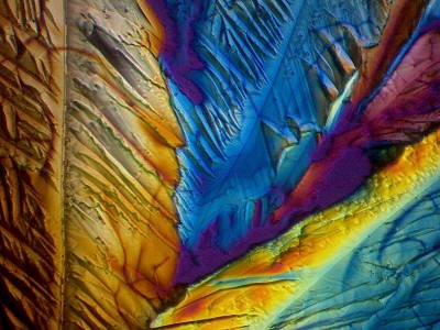 Удивительные фотографии под микроскопом 21 Декабрь 2014 21:15 первое Удивительные фотографии под микроскопом 21 Декабрь 2014 21:15 первое