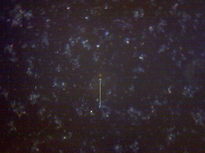 Удивительные фотографии под микроскопом 30 Декабрь 2014 12:42 второе Удивительные фотографии под микроскопом 30 Декабрь 2014 12:42 второе