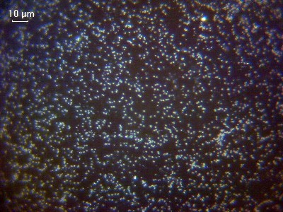 Удивительные фотографии под микроскопом 30 Декабрь 2014 12:42 первое Удивительные фотографии под микроскопом 30 Декабрь 2014 12:42 первое