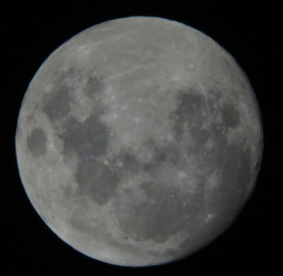 Мои первые фото, выкладываю вам на суд :) 11 Январь 2015 09:55 второе Мои первые фото, выкладываю вам на суд :) 11 Январь 2015 09:55 второе