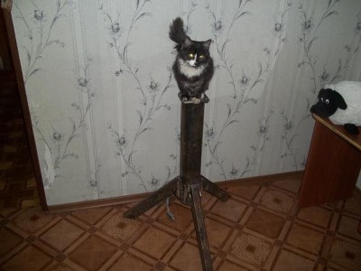 самодельная голова монтировки. 16 Январь 2015 21:44 второе самодельная голова монтировки. 16 Январь 2015 21:44 второе