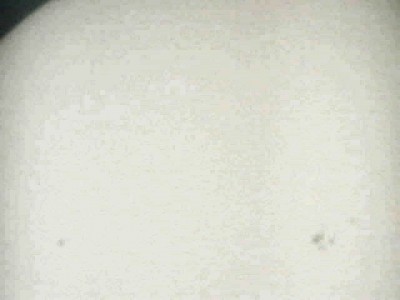 Мои первые попытки в астрофотографии 04 Сентябрь 2013 22:46 первое Мои первые попытки в астрофотографии 04 Сентябрь 2013 22:46 первое