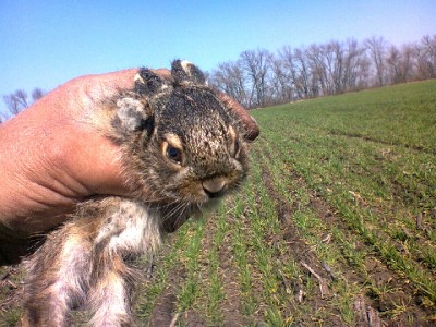 Природная красота неба. Фото 21 Апрель 2015 19:50 Природная красота неба. Фото 21 Апрель 2015 19:50