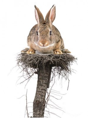 Природная красота неба. Фото 22 Апрель 2015 10:47 Природная красота неба. Фото 22 Апрель 2015 10:47