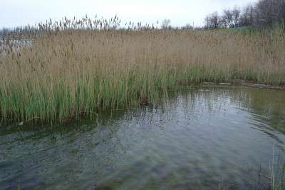 На отдыхе с биноклем 17 Май 2015 11:10 пятое На отдыхе с биноклем 17 Май 2015 11:10 пятое