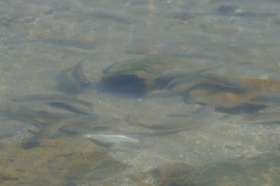 На отдыхе с биноклем 17 Май 2015 11:10 третье На отдыхе с биноклем 17 Май 2015 11:10 третье