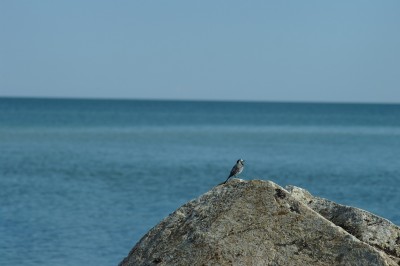 На отдыхе с биноклем 17 Май 2015 11:10 второе На отдыхе с биноклем 17 Май 2015 11:10 второе