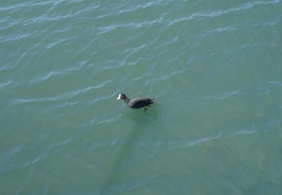 На отдыхе с биноклем 17 Май 2015 11:10 первое На отдыхе с биноклем 17 Май 2015 11:10 первое