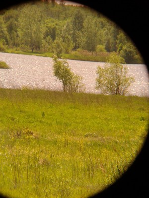 Первое впечатление от Arsenal 15x70 и Arsenal 20x80 17 Май 2015 15:07 шестое Первое впечатление от Arsenal 15x70 и Arsenal 20x80 17 Май 2015 15:07 шестое