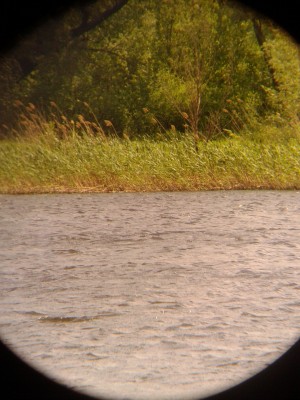 Первое впечатление от Arsenal 15x70 и Arsenal 20x80 17 Май 2015 15:07 пятое Первое впечатление от Arsenal 15x70 и Arsenal 20x80 17 Май 2015 15:07 пятое