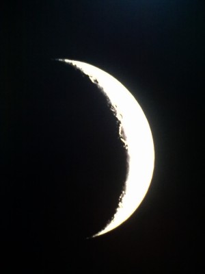 Вечер тротуарной астрономии Клуба AstroScope 21 мая 2015 год 24 Май 2015 21:37 Вечер тротуарной астрономии Клуба AstroScope 21 мая 2015 год 24 Май 2015 21:37