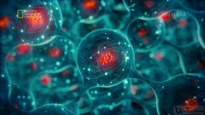 Космос: Пространство и время (Cosmos: A SpaceTime Odyssey) 01 Июнь 2015 19:20 четвертое Космос: Пространство и время (Cosmos: A SpaceTime Odyssey) 01 Июнь 2015 19:20 четвертое