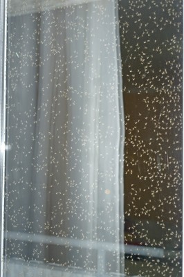 Природная красота неба. Фото 26 Июнь 2015 20:44 Природная красота неба. Фото 26 Июнь 2015 20:44