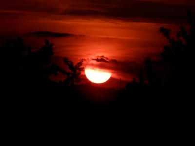 Очумелая жизнь одного хорошего фотоаппарата 07 Июль 2015 22:07 второе Очумелая жизнь одного хорошего фотоаппарата 07 Июль 2015 22:07 второе