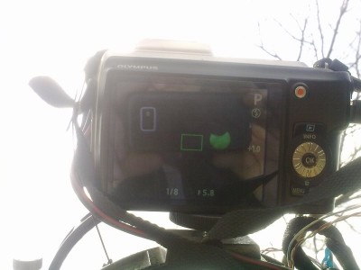 Очумелая жизнь одного хорошего фотоаппарата 07 Июль 2015 23:18 второе Очумелая жизнь одного хорошего фотоаппарата 07 Июль 2015 23:18 второе