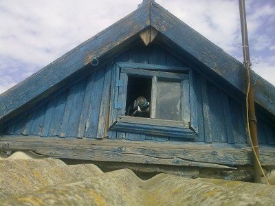 Очумелая жизнь одного хорошего фотоаппарата 07 Июль 2015 23:22 первое Очумелая жизнь одного хорошего фотоаппарата 07 Июль 2015 23:22 первое