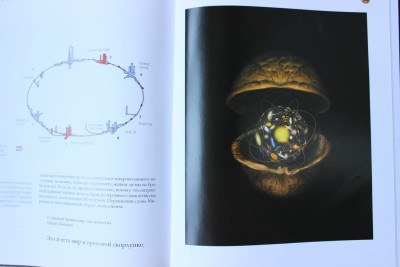 Хокинг книги мир в ореховой скорлупке