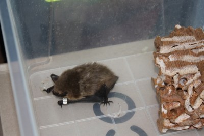 Научный пикник Scientific Fun в Харькове 5.10.13. Фотоотчет! 07 Октябрь 2013 11:37 шестое Научный пикник Scientific Fun в Харькове 5.10.13. Фотоотчет! 07 Октябрь 2013 11:37 шестое