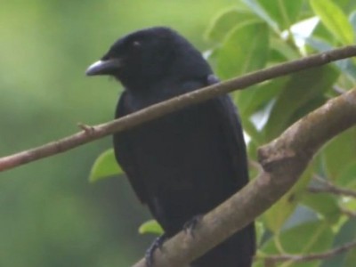 Телескоп Sky-Watcher 707AZ2 и аналоги 23 Июль 2015 12:58 первое Телескоп Sky-Watcher 707AZ2 и аналоги 23 Июль 2015 12:58 первое