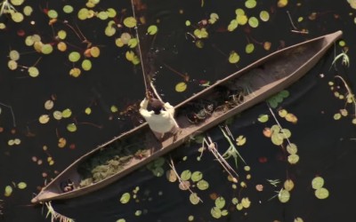 Дом. История путешествия (Home) 31 Август 2015 08:37 двенадцатое Дом. История путешествия (Home) 31 Август 2015 08:37 двенадцатое