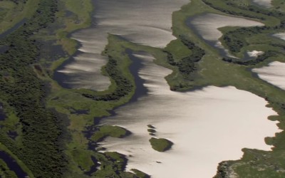 Дом. История путешествия (Home) 31 Август 2015 08:37 шестое Дом. История путешествия (Home) 31 Август 2015 08:37 шестое