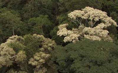 Дом. История путешествия (Home) 31 Август 2015 08:37 первое Дом. История путешествия (Home) 31 Август 2015 08:37 первое